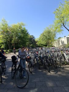 Na pierwszym zdjęciu przedstawiona jest przestrzeń zewnętrzna przy pełnym słońcu, z czystym niebem bez chmur. W centrum i po prawej stronie kadru znajdują się setki zaparkowanych rowerów, ustawionych w gęstych rzędach w specjalnych stojakach. Rowerów jest tak dużo, że wypełniają całą prawą połowę zdjęcia aż po horyzont. W lewym dolnym rogu stoi młoda kobieta w szarym obcisłym swetrze i dżinsach, która trzyma czarny rower, wyglądając jakby zamierzała nim odjechać. W tle widać kilkoro innych ludzi również z rowerami, a przestrzeń otaczają wysokie, zielone drzewa w pełnym rozkwicie wiosennym. Po lewej stronie widoczna jest latarnia uliczna.