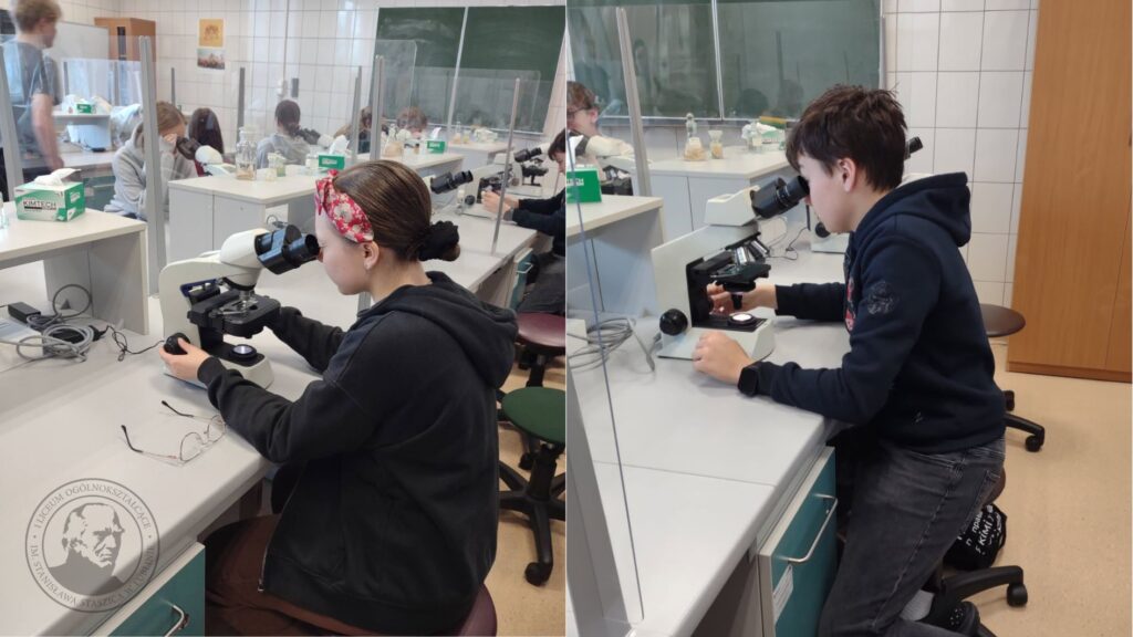 Zdjęcia przedstawiają uczniów podczas zajęć laboratoryjnych z biologii i chemii w szkolnej pracowni. Na pierwszych dwóch fotografiach młodzież pracuje przy mikroskopach, siedząc przy długich stołach oddzielonych przezroczystymi przegrodami. Uczniowie obserwują preparaty, regulują ostrość i oświetlenie, a na blatach znajdują się przewody, pudełka z chusteczkami laboratoryjnymi oraz okulary. W tle widoczna jest zielona tablica i ściany wyłożone białymi kafelkami.