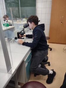Uczeń siedzi na laboratoryjnym stołku i obserwuje preparat przez mikroskop. Jedną ręką reguluje ustawienia urządzenia. W tle widoczna jest tablica oraz szafki laboratoryjne. Stanowisko jest wyposażone w oświetlenie mikroskopowe i podstawowe akcesoria laboratoryjne.