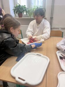 Dwoje uczniów przy stole analizuje serce na tacy – wspólna praca i obserwacja preparatu.