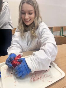 Uczennica w fartuchu i rękawiczkach uśmiecha się podczas pracy z sercem na tacy laboratoryjnej.