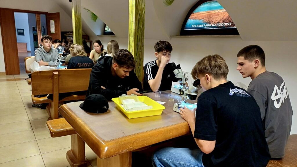 Uczniowie pracują przy mikroskopach stereoskopowych w sali edukacyjnej. Na stołach znajdują się również pojemniki, tacka oraz materiały wykorzystywane podczas zajęć.