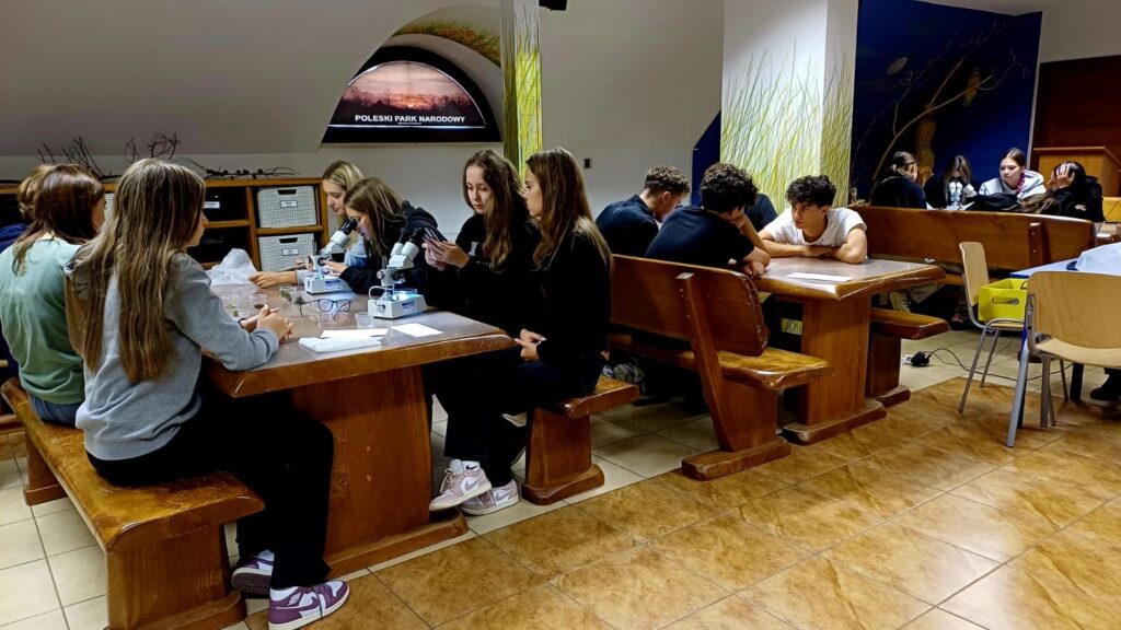 Uczniowie uczestniczą w zajęciach przyrodniczych w sali edukacyjnej Poleskiego Parku Narodowego. Siedzą w grupach przy drewnianych stołach i prowadzą obserwacje za pomocą mikroskopów stereoskopowych.