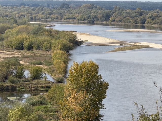 Rozległy widok na rzekę tworzącą zakola i rozdzielającą się wokół jasnych, piaszczystych łach. Brzegi porasta gęsta roślinność.